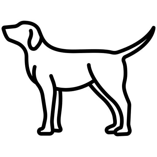 Dog mammal animals animal kingdom icon