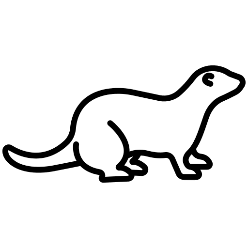 Ferret mammal ferret nature icon Ferret mammal ferret nature icon