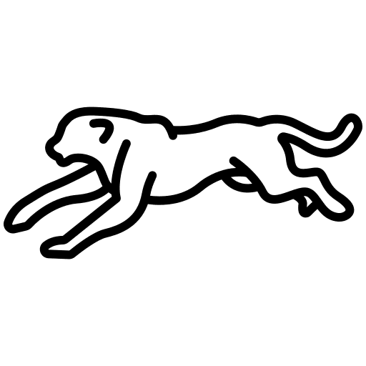 Jaguar animals wildlife zoo icon Jaguar animals wildlife zoo icon