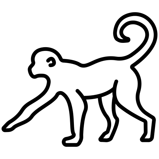 Monkey primate zoo wild life icon