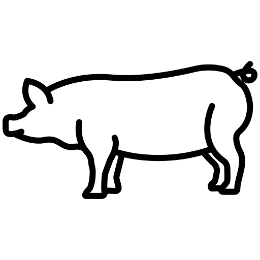 Pig animals animal kingdom livestock icon