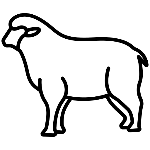 Sheep mammal animal kingdom wildlife icon