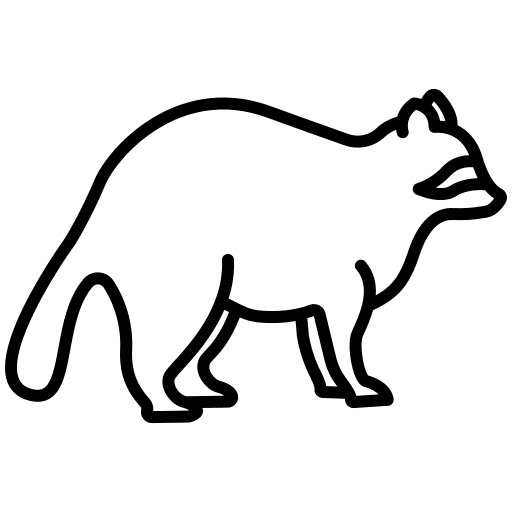 Raccoon zoo mammal raccoon icon Raccoon zoo mammal raccoon icon