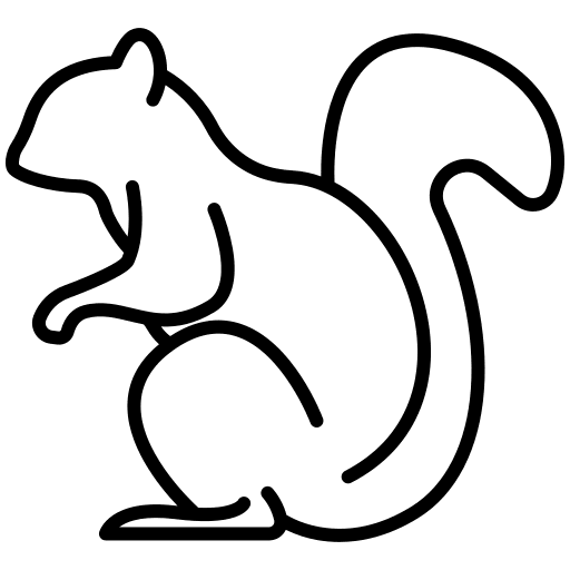 Squirrel mammal animals animal kingdom icon Squirrel mammal animals animal kingdom icon