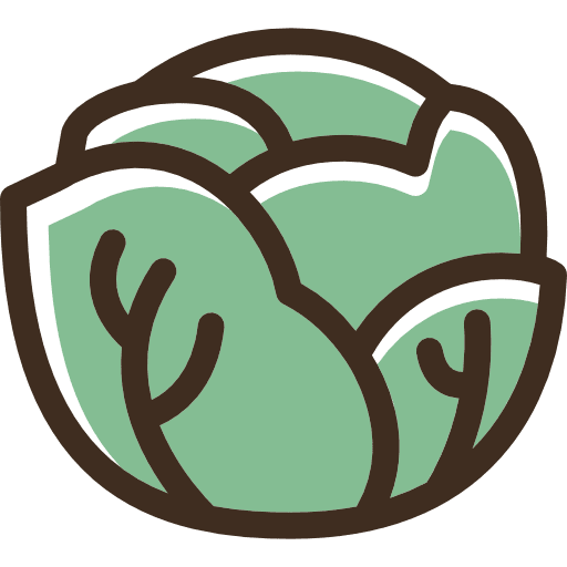 Lettuce diet vegetable vegetarian icon