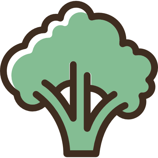 Broccoli carrot food broccoli icon