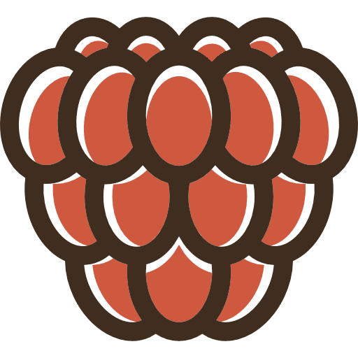 Grapes diet vegetarian grapes icon