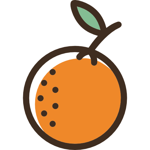 Orange fruit orange healthy food icon