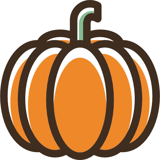 Pumpkin healthy food vegan vegetarian icon