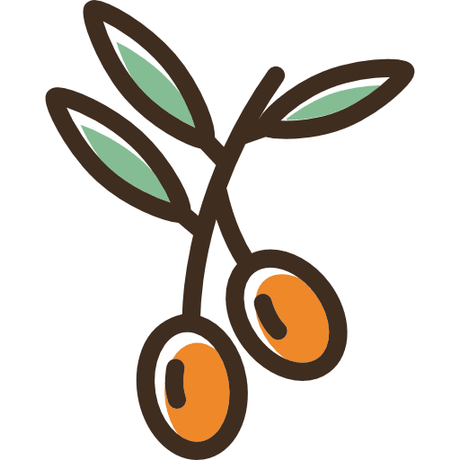 Olives vegetarian healthy food vegan icon