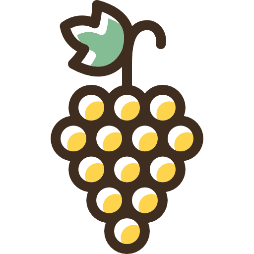 Grapes vegetarian fruit healthy food icon