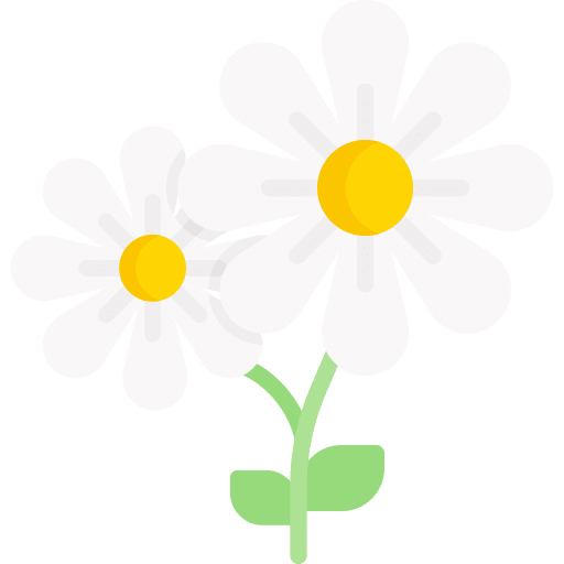 Flower botanical nature flower icon