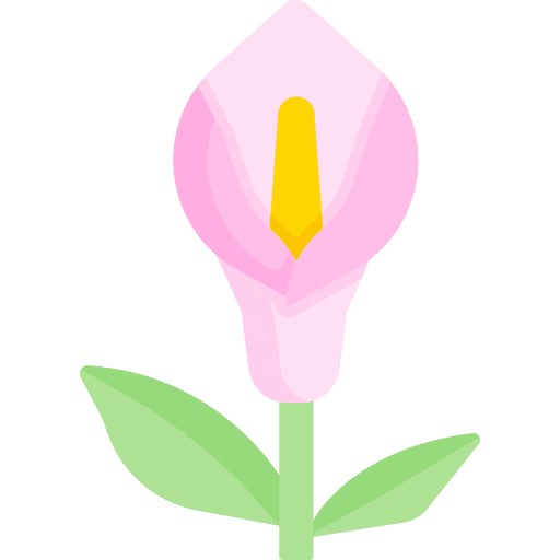 Flower petals blossom flower icon