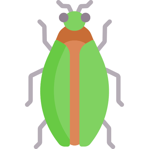 Bug animal nature bug icon Bug animal nature bug icon