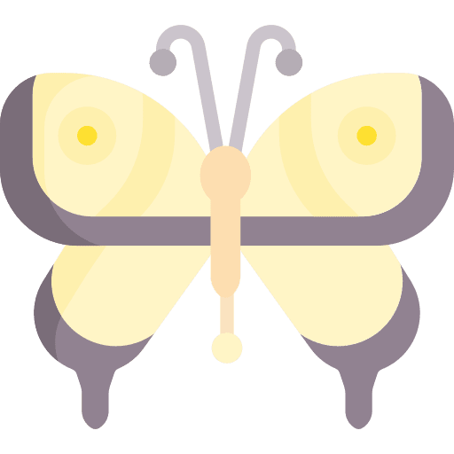 Butterfly nature zoology butterfly icon Butterfly nature zoology butterfly icon
