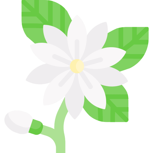 Flower blossom flower petals icon Flower blossom flower petals icon