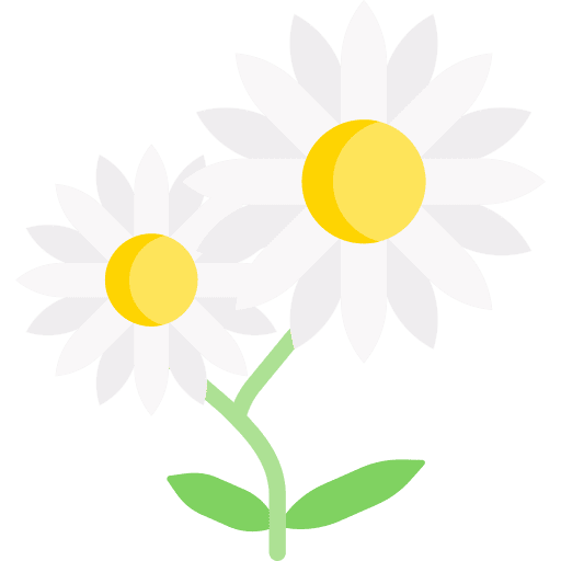 Flower blossom nature spring icon Flower blossom nature spring icon