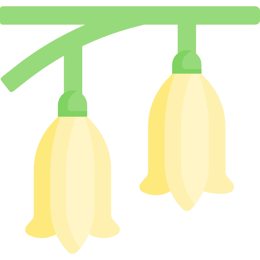 Flower botanical spring blossom icon Flower botanical spring blossom icon