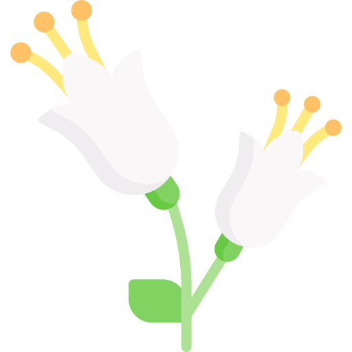 Flower blossom petals botanical icon Flower blossom petals botanical icon