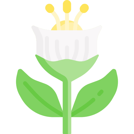 Flower blossom petals nature icon Flower blossom petals nature icon