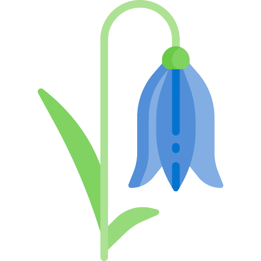 Flower blossom spring petals icon Flower blossom spring petals icon