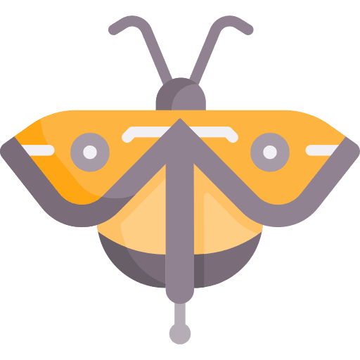 Fly bug entomology insect icon Fly bug entomology insect icon