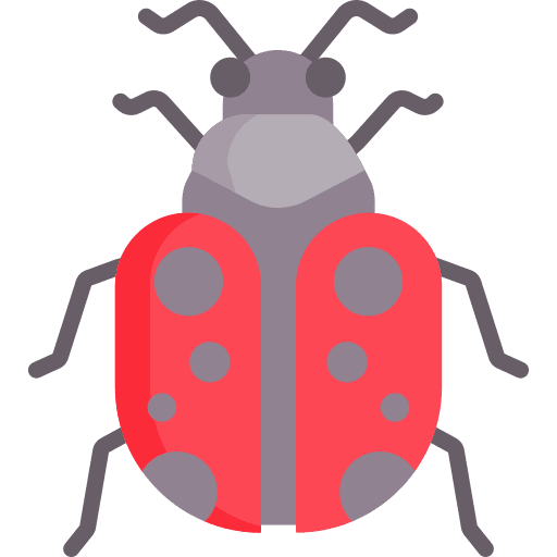 Ladybug entomology insect nature icon Ladybug entomology insect nature icon