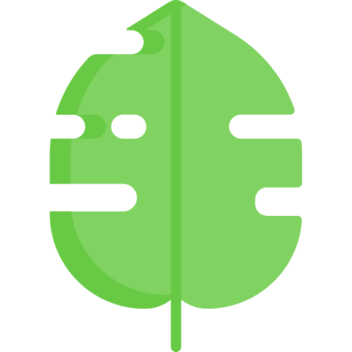 Leaf leaf nature botanical icon Leaf leaf nature botanical icon