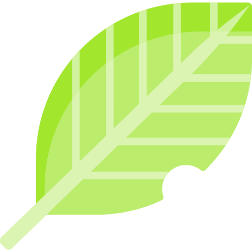 Leaf leaf spring botanical icon Leaf leaf spring botanical icon