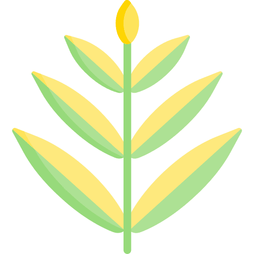 Leaf spring botanical leaf icon Leaf spring botanical leaf icon