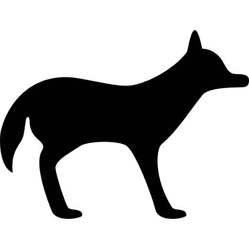 Coyote facing right wild animal nature icon Coyote facing right wild animal nature icon