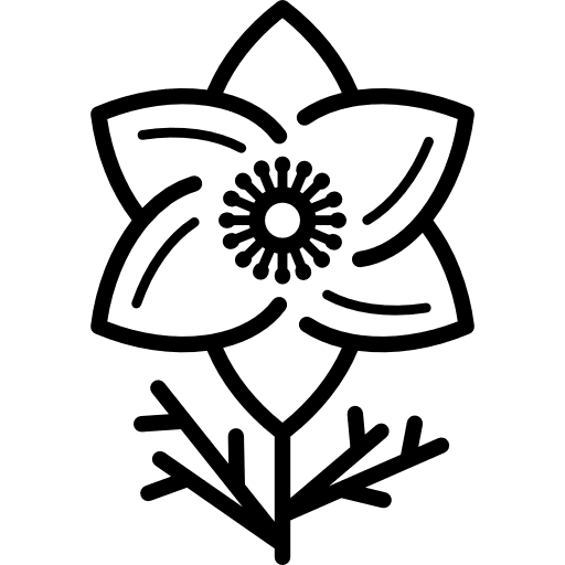 Anemone garden park gardening icon Anemone garden park gardening icon