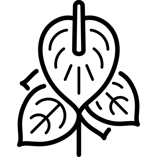 Anthurium nature garden flower icon Anthurium nature garden flower icon