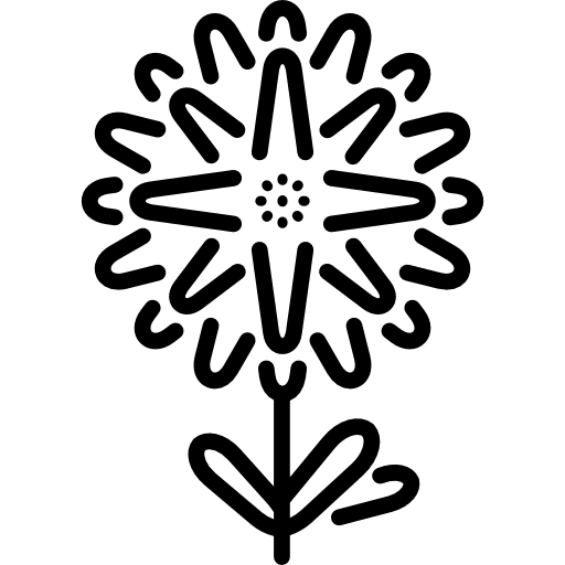 Aster park gardening garden icon Aster park gardening garden icon