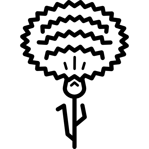 Carnation gardening flower nature icon Carnation gardening flower nature icon