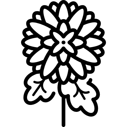 Chrysantemum flower gardening garden icon Chrysantemum flower gardening garden icon