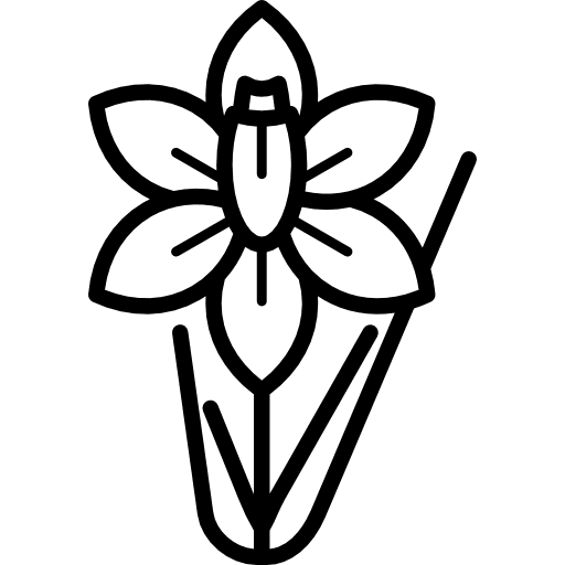 Daffodil nature park gardening icon Daffodil nature park gardening icon