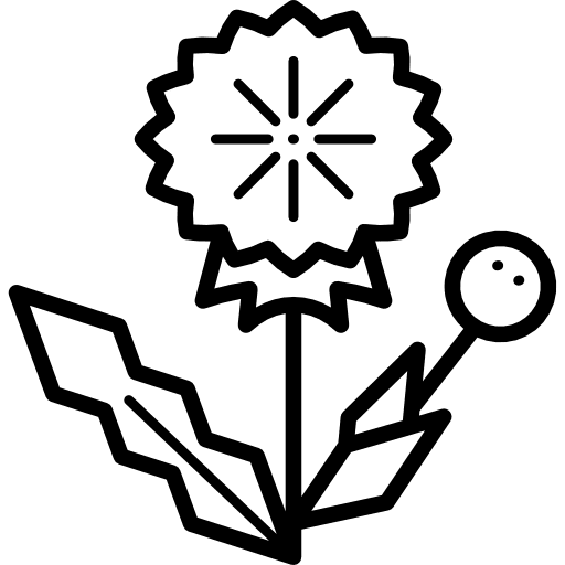 Dandelion park gardening garden icon