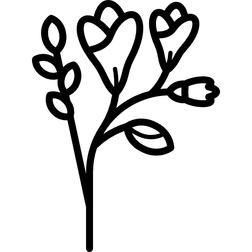 Freesia gardening nature garden icon