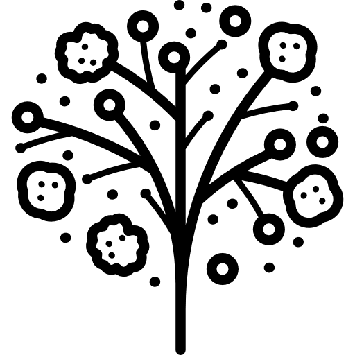 Gypsophila flower park gardening icon