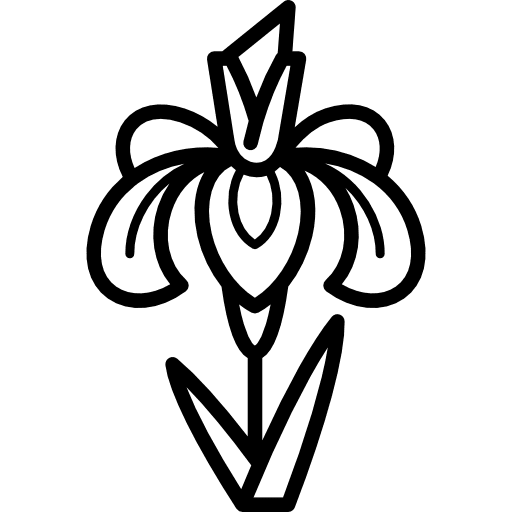 Iris park nature flower icon