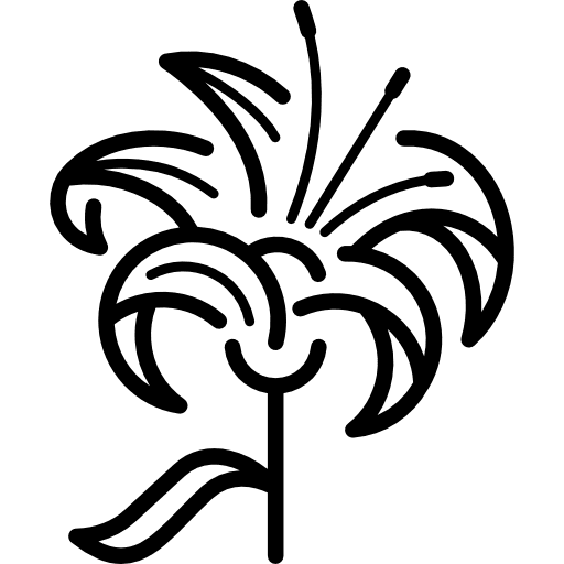 Lily park lilium gardening icon