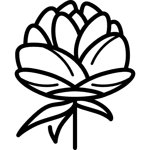 Peony nature paeoniaceae garden icon