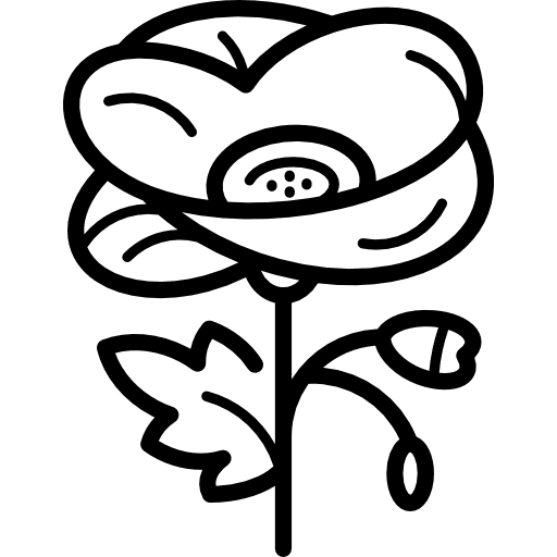 Poppy park gardening flower icon