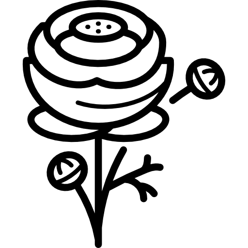 Ranunculus nature garden gardening icon