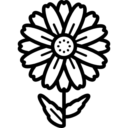 Daisy flower bellis perennis park icon Daisy flower bellis perennis park icon