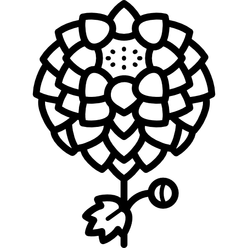 Dhalia asteraceae garden gardening icon Dhalia asteraceae garden gardening icon