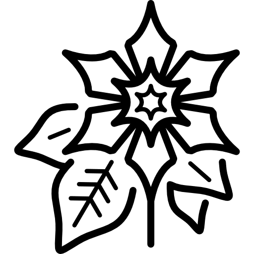 Poinsettia park gardening nature icon Poinsettia park gardening nature icon