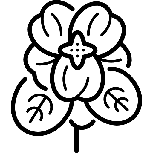 Violet garden nature flower icon Violet garden nature flower icon