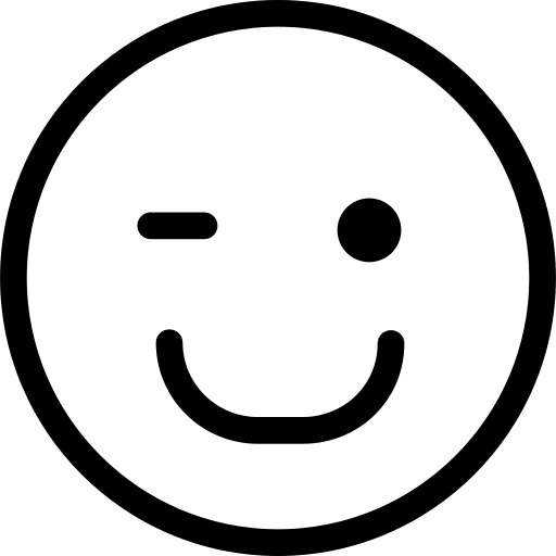 Wink emoticon feelings face icon